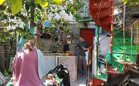 Lemon Tree House